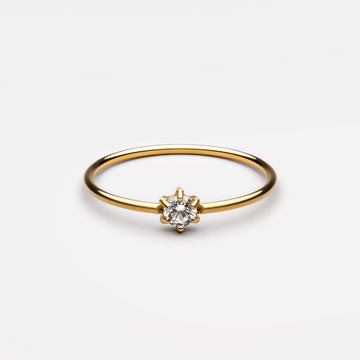 Anillo Elvia