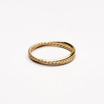 Anillo doble armonía