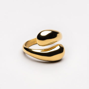 Anillo de doble giro