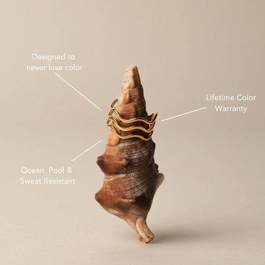 Anillo del océano